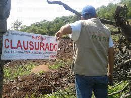 Por la existencia de estos acontecimientos surgieron asociaciones y/o sociedades para defender el entorno ambiental, como el caso de la P...
