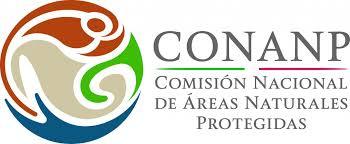 Considerando que la contaminación atmosférica tiene origen multifactorial, la Semarnat convocó a diferentes sectores de la sociedad a par...
