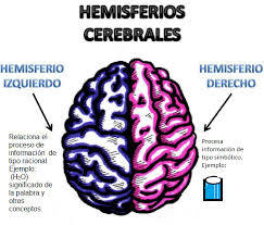 Especializacion Hemisferica y Lateralizacion
