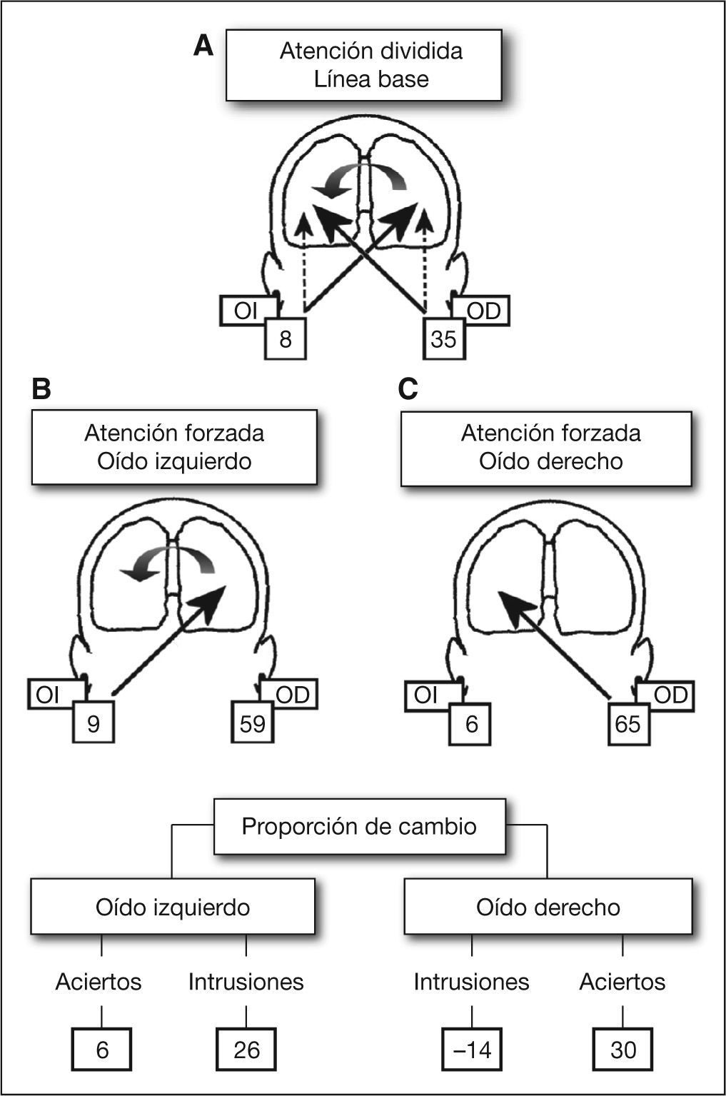 Especializacion Hemisferica y Lateralizacion