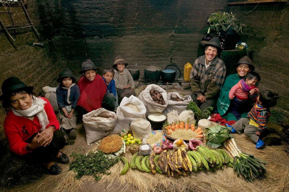 The Pincay family (Ecuador) What do they eat.......? a lot of a little of some a few of what don´t they eat any of ?