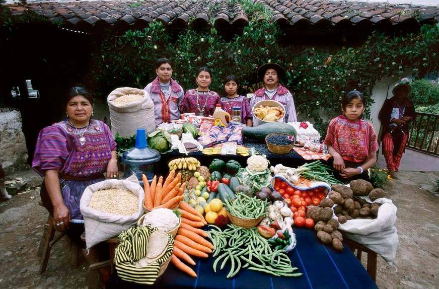 The Panqueva family (Guatemala) What do they eat.......? a lot of a little of some a few of what don´t they eat any of ?