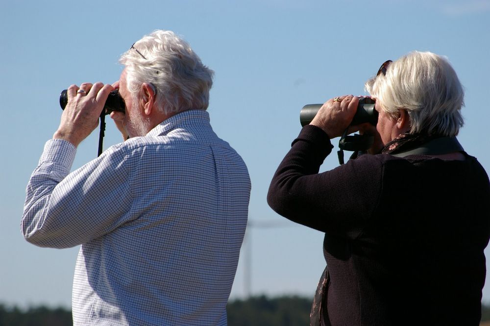 Image for option A