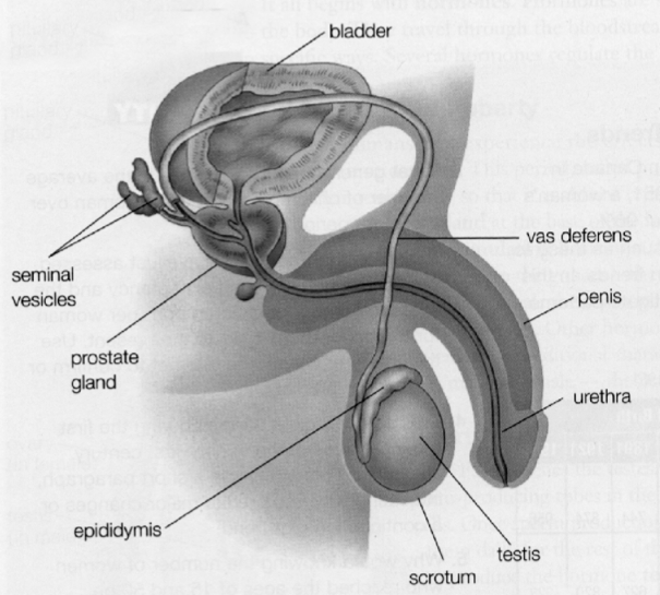 label this diagram
