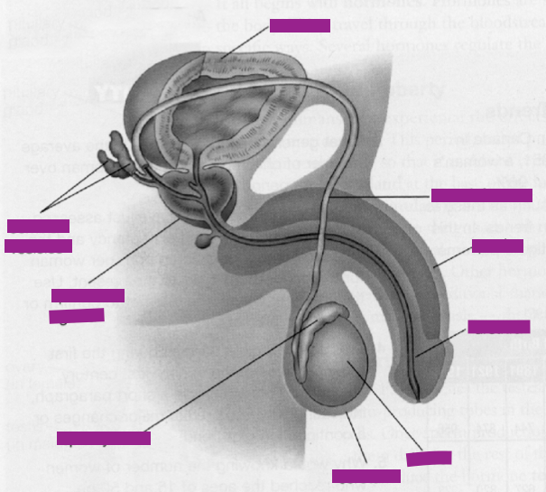 label this diagram