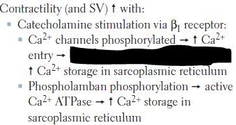 Increased Ca2+-induced Ca2+ release