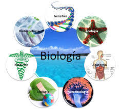 DICCIONARIO DE BIOLOGIA