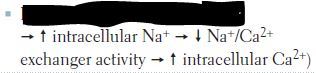 Contractility (and SV) increase with: