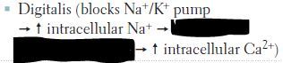 Decreased Na+/Ca2+ exchanger activity