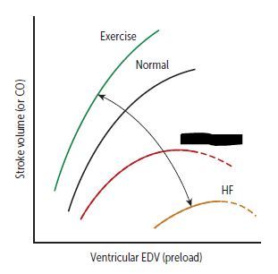 HF + digoxin