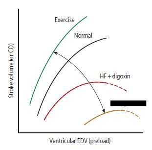 HF