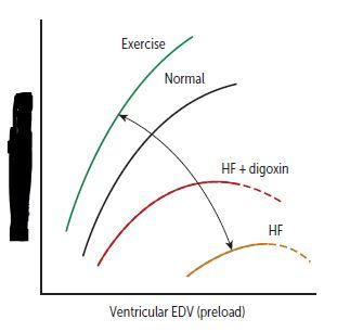 Stroke volume (or CO)