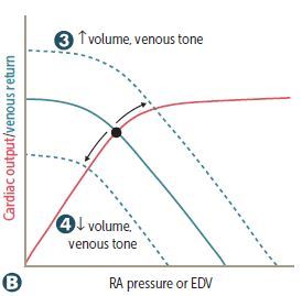 Examples for 3?