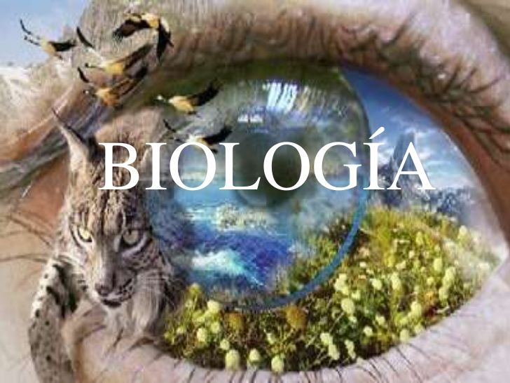 Vocabulario de biologia