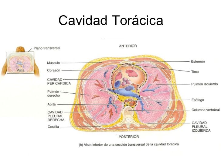 Cavidades