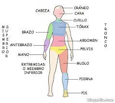 Región