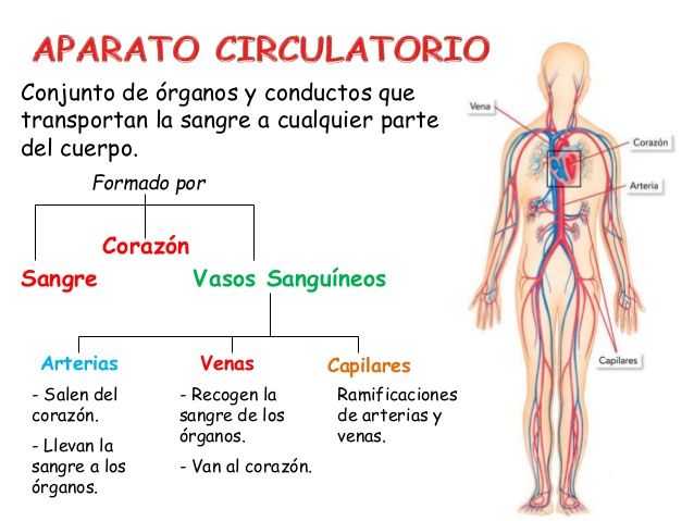 Aparato: