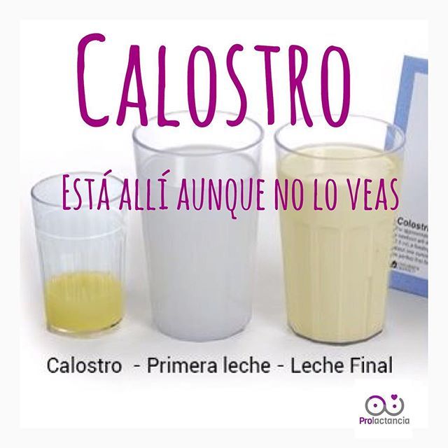 Calostro