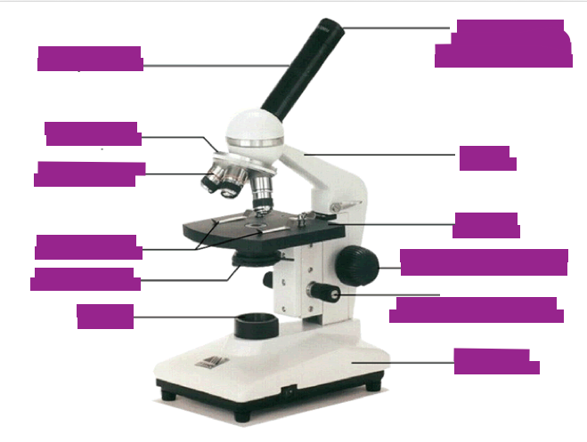 label this diagram