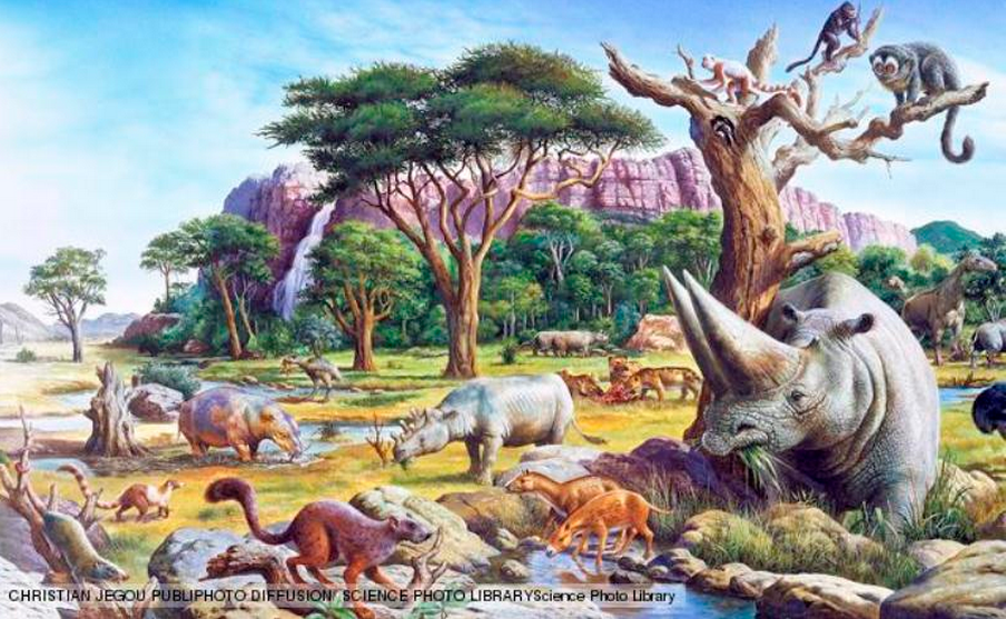 Em que era geológica e período o homo sapiens sapiens apareceu?