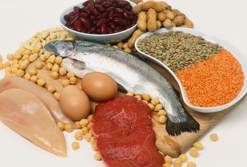 PROTEINAS