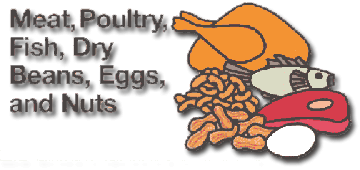 5. Name an example of a food group wich grows and repairs and Name thefood group?
