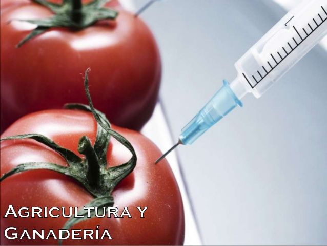 Aplicaciones de la ingenieria genetica en la Agricultura