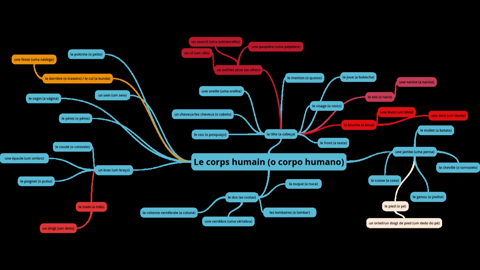 Le corps humain (o corpo humano)