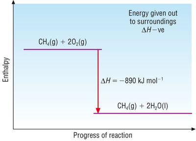 Image for question 9