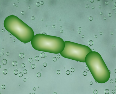 Image for question 3