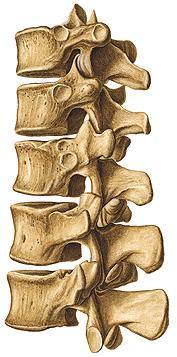 Image for question 17