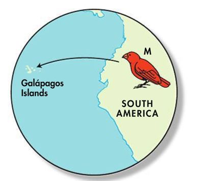 Image for question 8