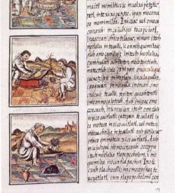 Image for question 2