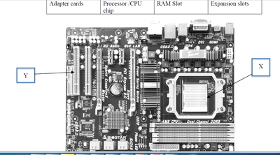 Image for question 8