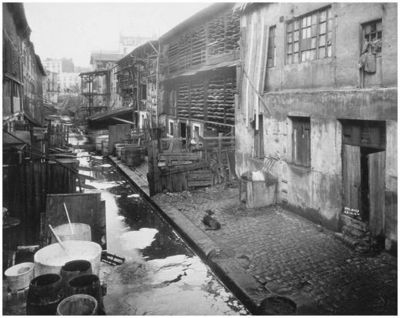 Image for question 9