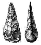 Image for question 9