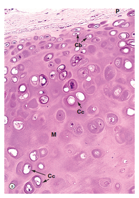 Image for question 3