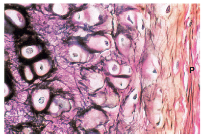 Image for question 4