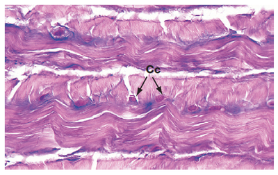 Image for question 5