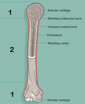 Image for question 7