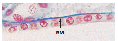 Image for question 1