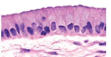 Image for question 2