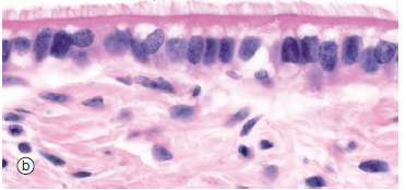 Image for question 3