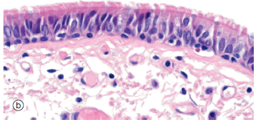 Image for question 4