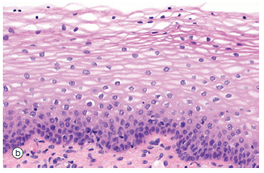 Image for question 5