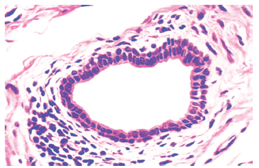 Image for question 7