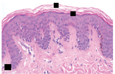 Image for question 8