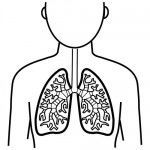 Image for question 3