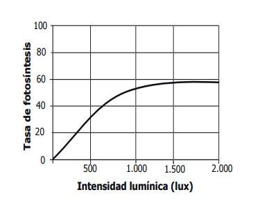Image for question 1