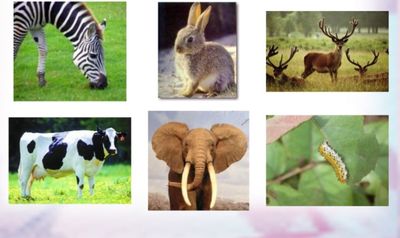 Image for question 54